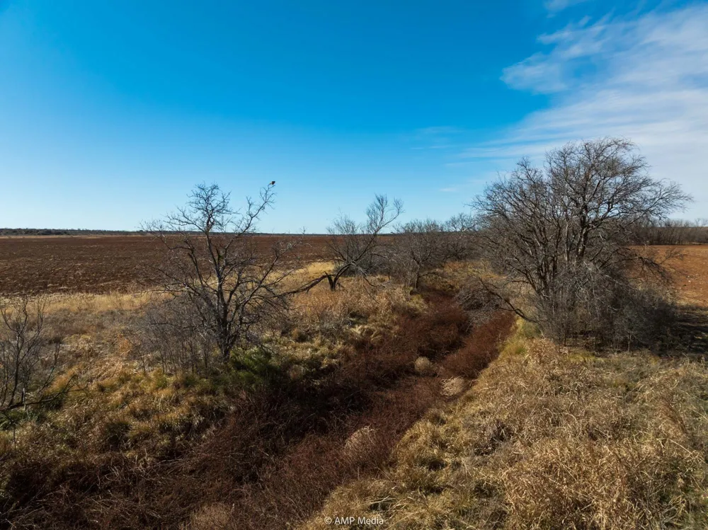County Road 260 Colorado City, TX 79512