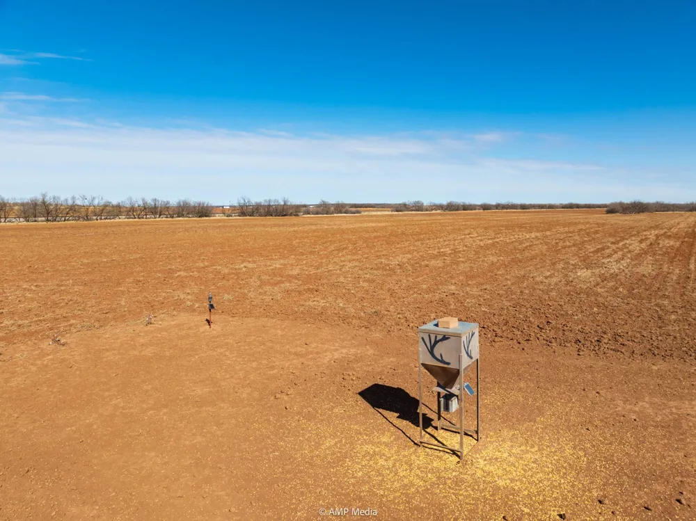 County Road 260 Colorado City, TX 79512