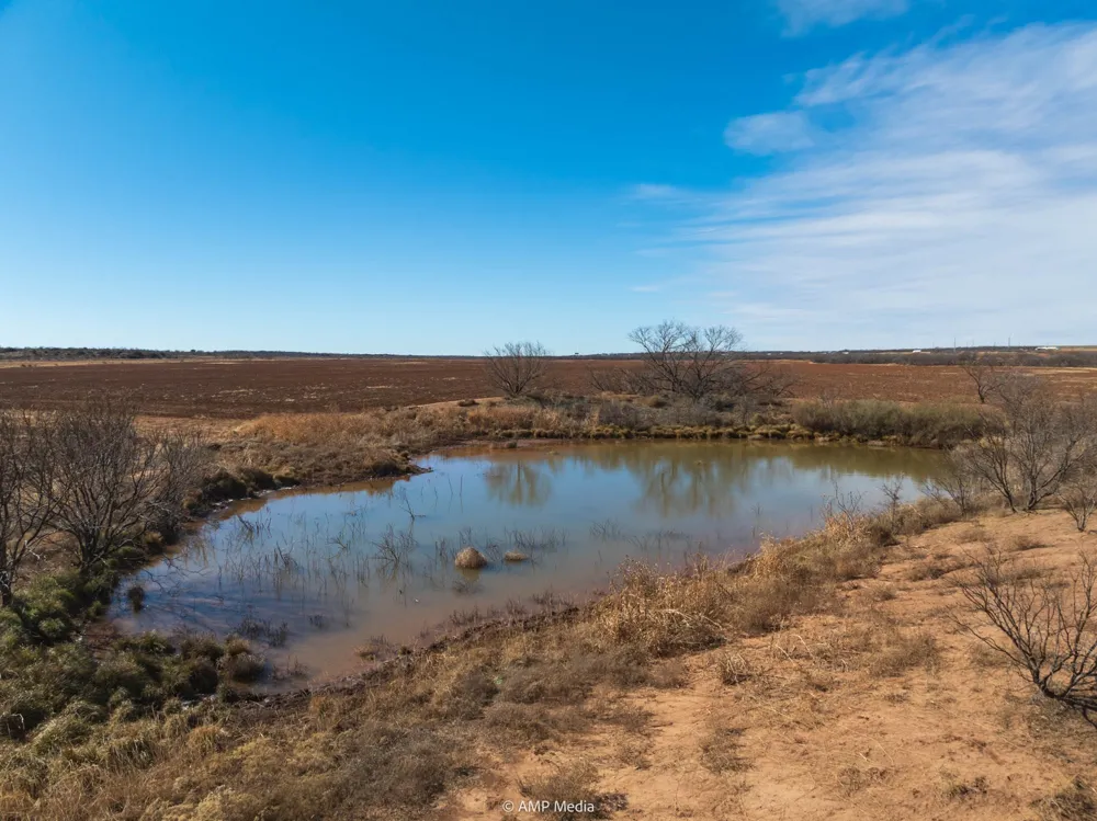 County Road 260 Colorado City, TX 79512
