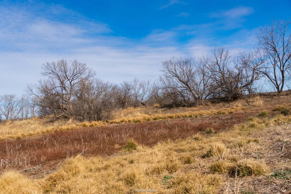 County Road 260 Colorado City, TX 79512