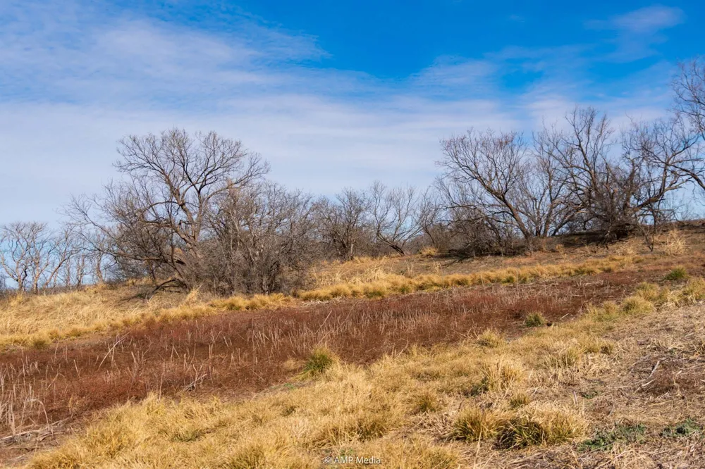 County Road 260 Colorado City, TX 79512