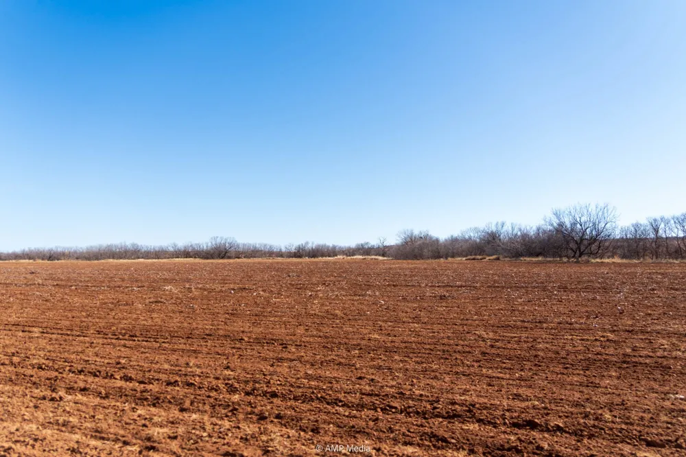 County Road 260 Colorado City, TX 79512