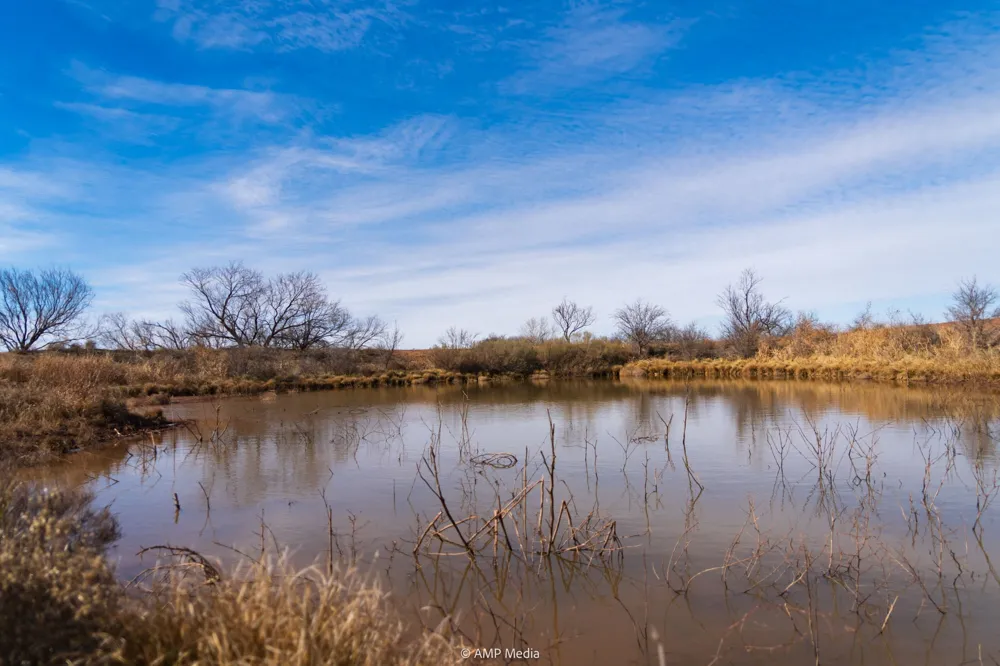 County Road 260 Colorado City, TX 79512