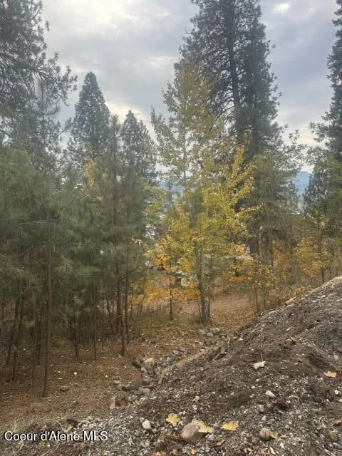 NNA (.393 ac.) 2nd St Priest River, ID 83856