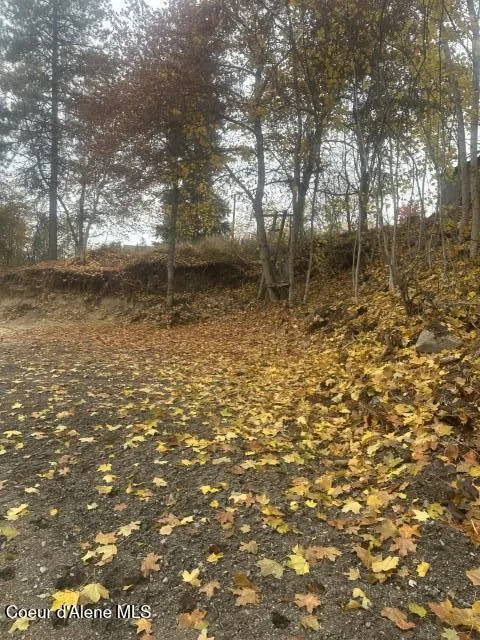 NNA (.393 ac.) 2nd St Priest River, ID 83856