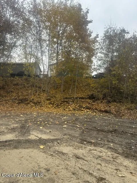 NNA (.393 ac.) 2nd St Priest River, ID 83856