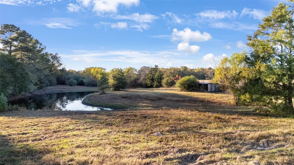 9086 FM 49 Gilmer, TX 75644