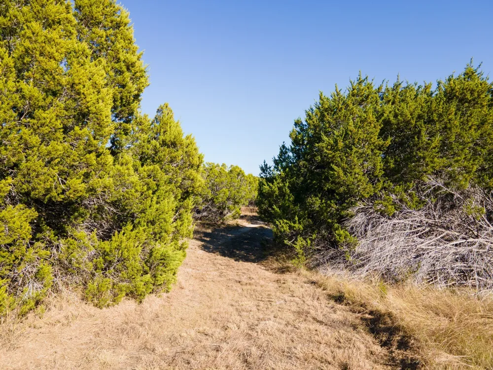 County Road 1045 Lampasas, TX 76550