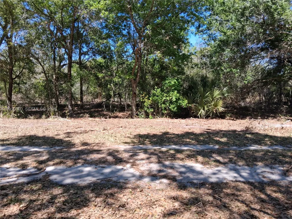 2822 W Yepremian Rd Avon Park, FL 33825