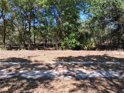 2822 W Yepremian Rd