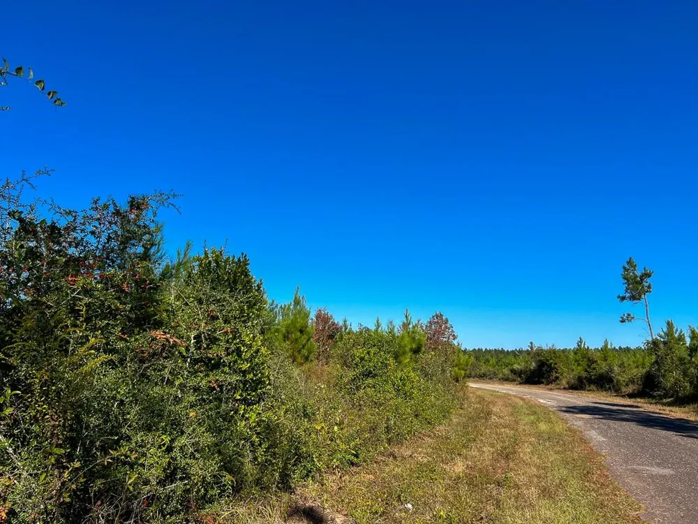 2 Fm 787 Votaw, TX 77376