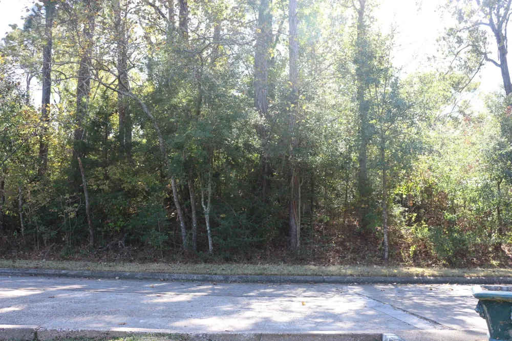 Lake Oaks Boulevard Coldspring, TX 77331