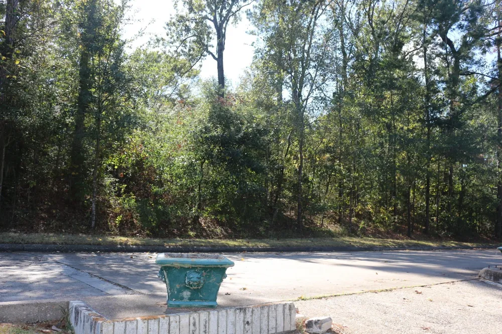 Lake Oaks Boulevard Coldspring, TX 77331