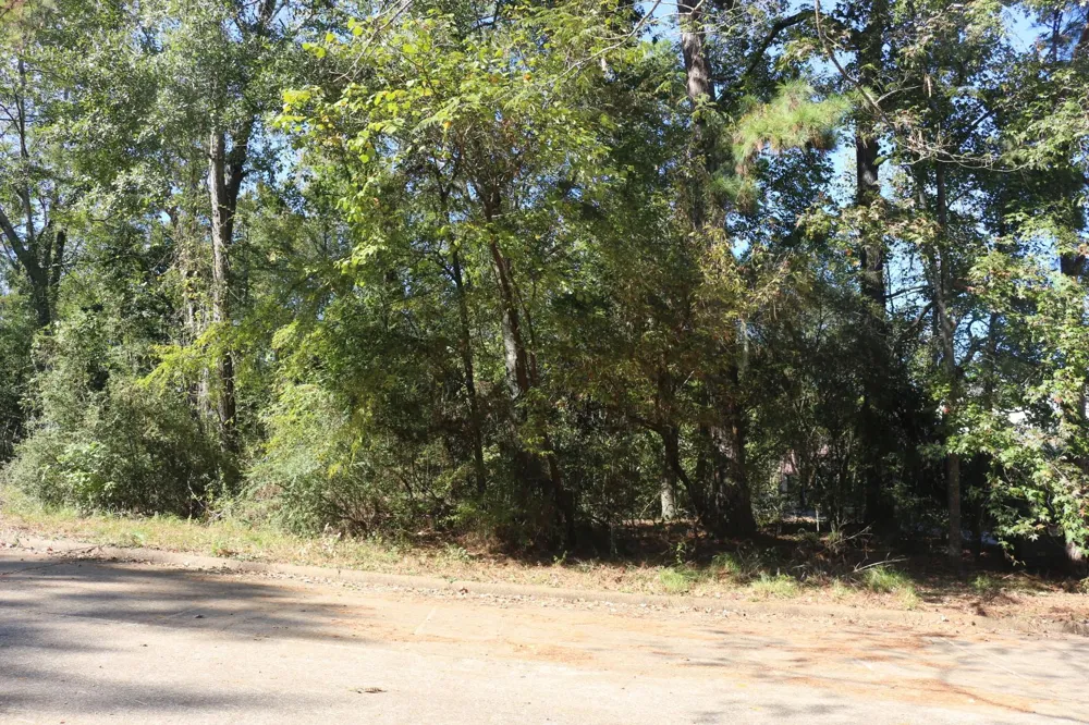 Lake Oaks Circle Coldspring, TX 77331