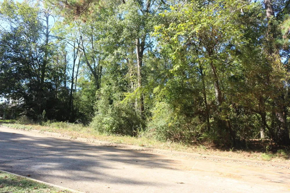 Lake Oaks Circle Coldspring, TX 77331