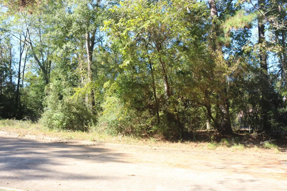 Lake Oaks Circle Coldspring, TX 77331