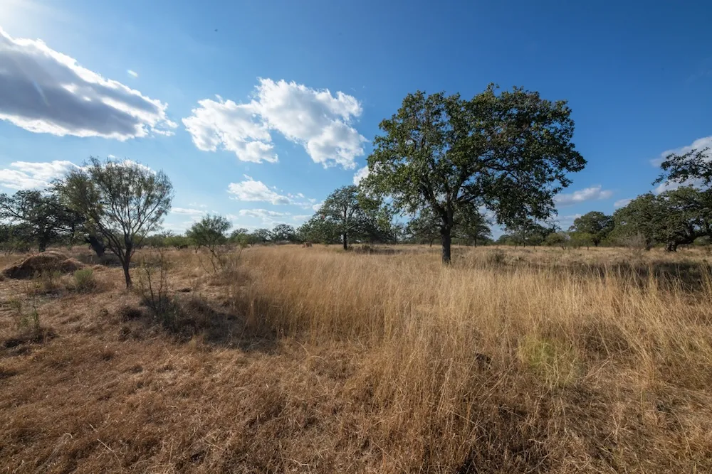 Address Not Shown Mason, TX 76842