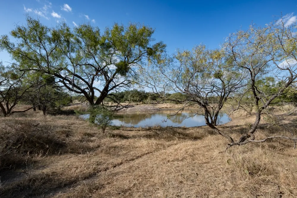 Address Not Shown Mason, TX 76842