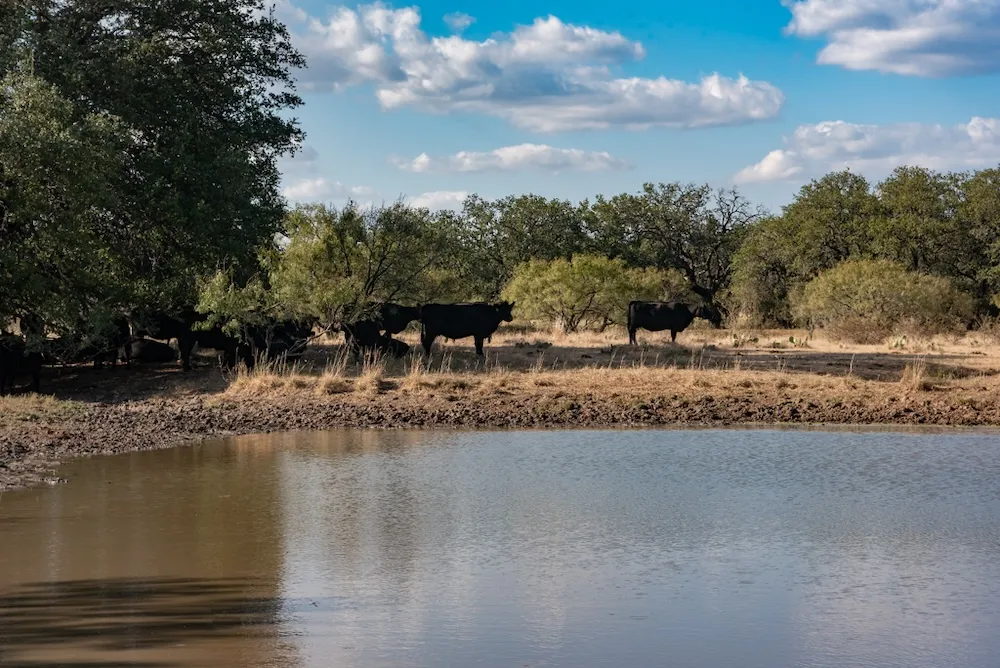 Address Not Shown Mason, TX 76842