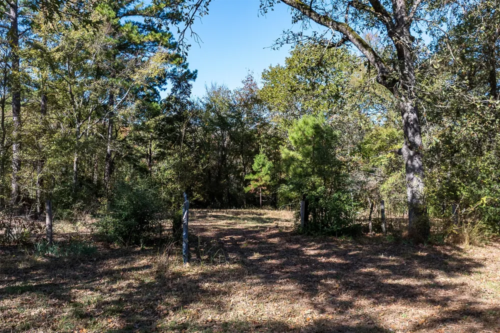 13793 An County Road 404 Palestine, TX 75803