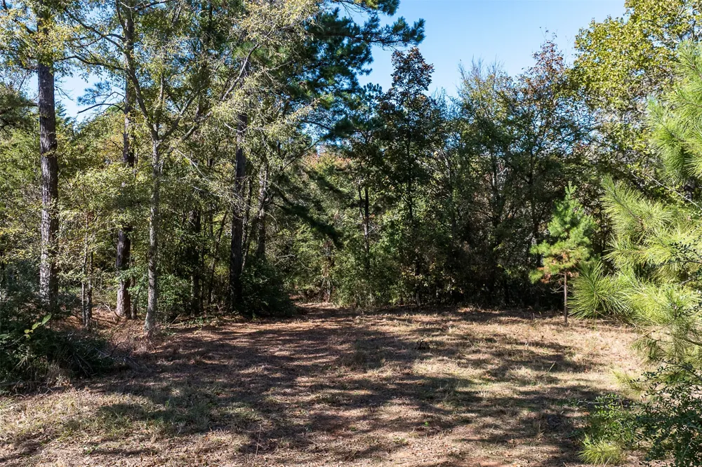 13793 An County Road 404 Palestine, TX 75803