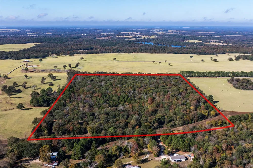 13793 An County Road 404 Palestine, TX 75803