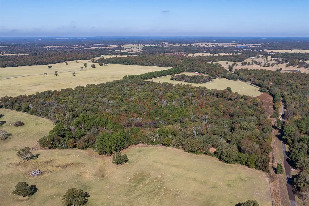 13793 An County Road 404 Palestine, TX 75803