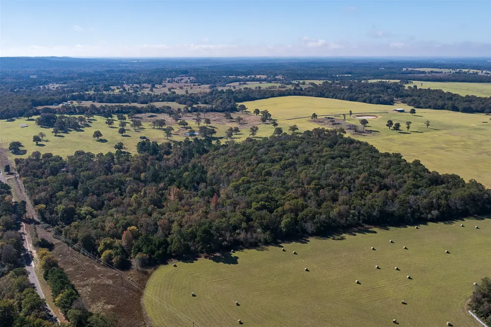 13793 An County Road 404 Palestine, TX 75803