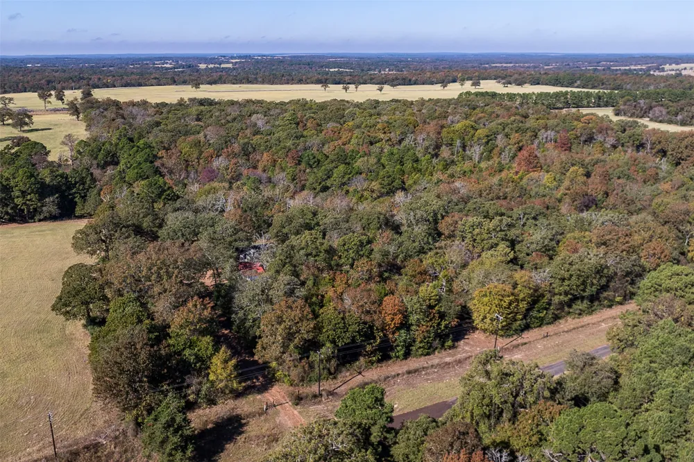 13793 An County Road 404 Palestine, TX 75803