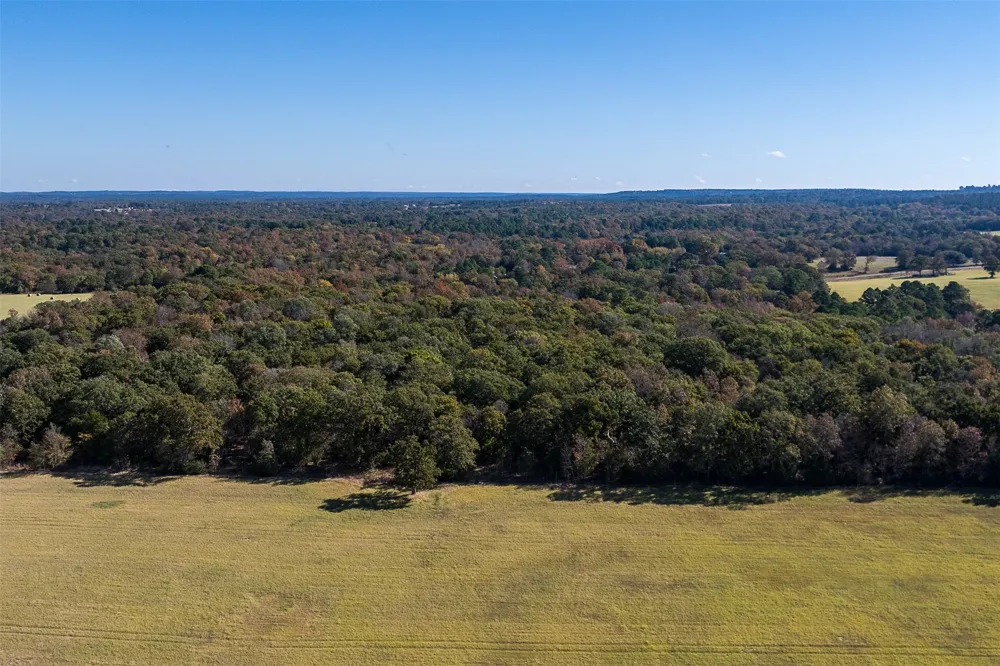 13793 An County Road 404 Palestine, TX 75803