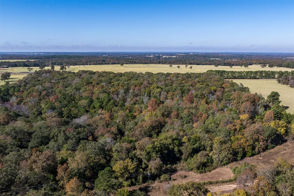 13793 An County Road 404 Palestine, TX 75803