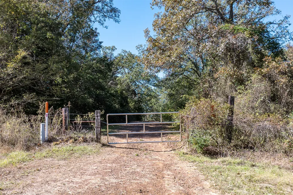 13793 An County Road 404 Palestine, TX 75803