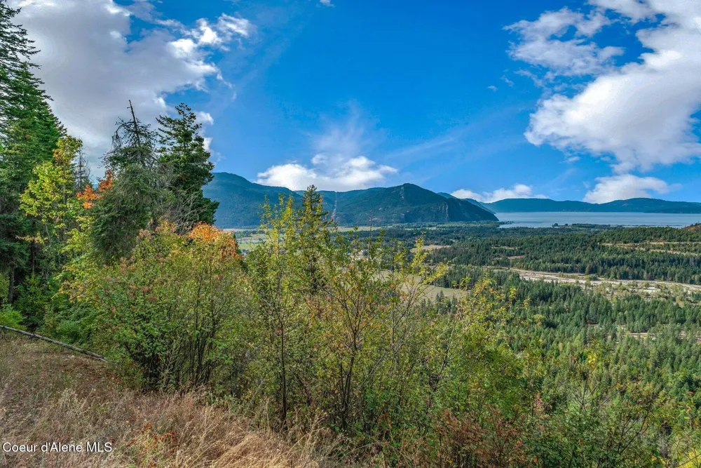 NKA Silver Creek Road Clark Fork, ID 83811