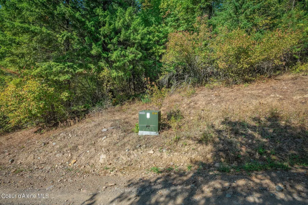 NKA Silver Creek Road Clark Fork, ID 83811