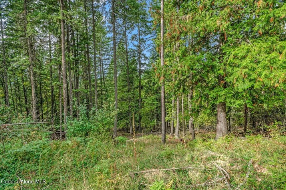 NKA Silver Creek Road Clark Fork, ID 83811