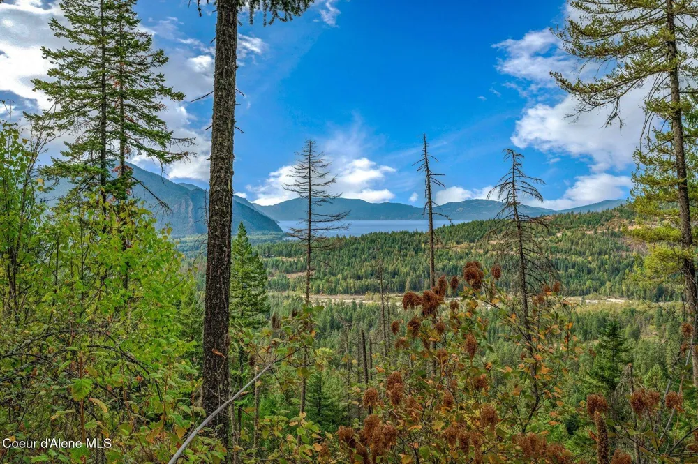 NKA Silver Creek Road Clark Fork, ID 83811