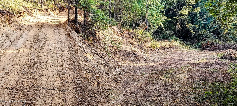 NKA Silver Creek Road Clark Fork, ID 83811