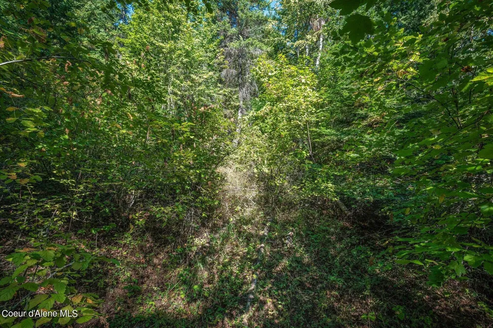 NKA Silver Creek Road Clark Fork, ID 83811