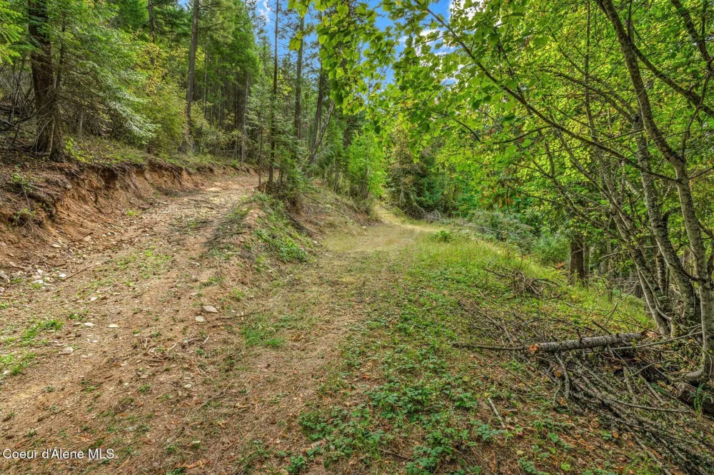 NKA Silver Creek Road Clark Fork, ID 83811