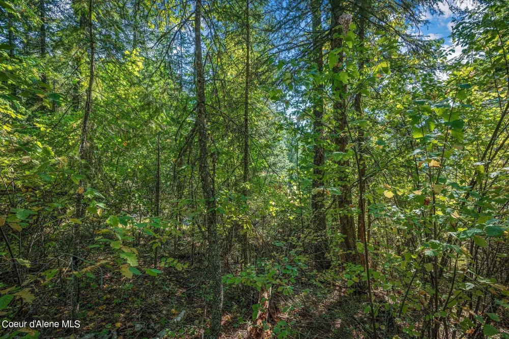 NKA Silver Creek Road Clark Fork, ID 83811