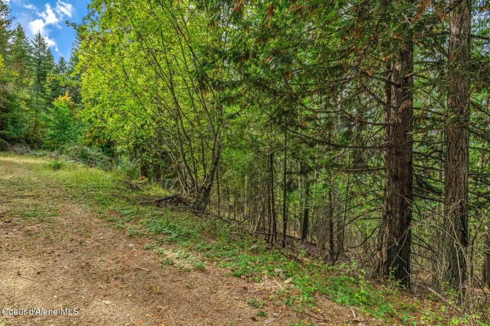 NKA Silver Creek Road Clark Fork, ID 83811