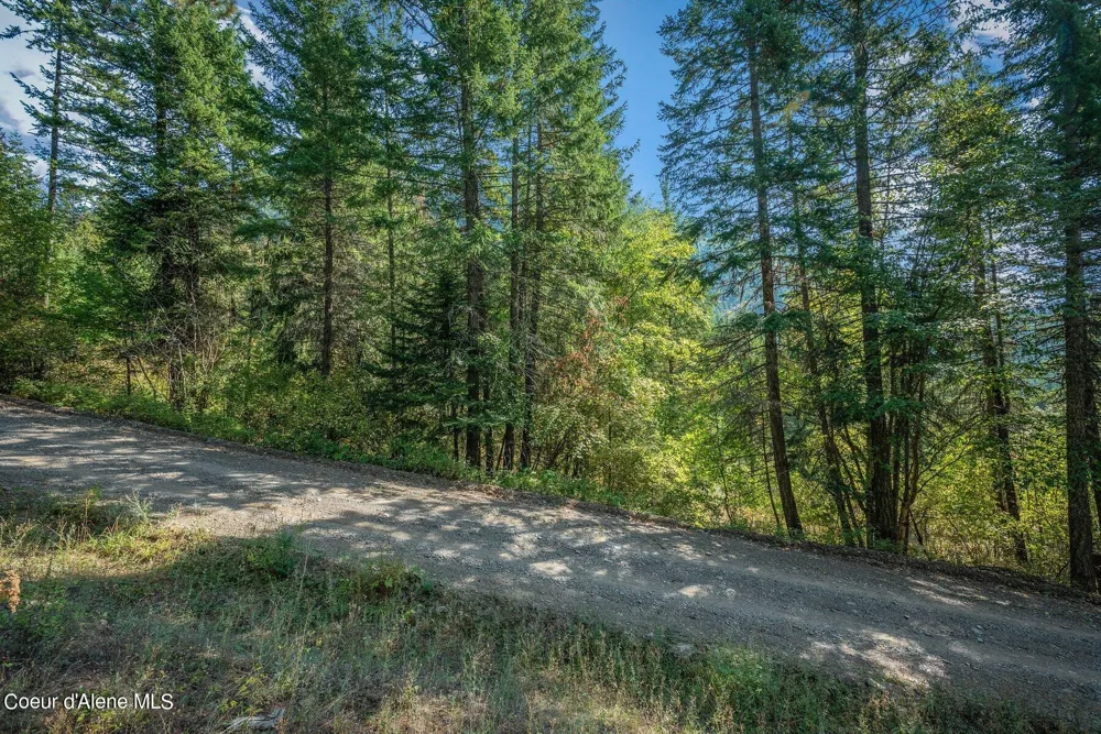NKA Silver Creek Road Clark Fork, ID 83811