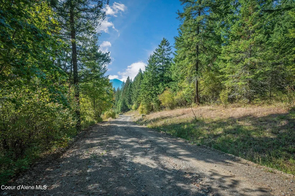 NKA Silver Creek Road Clark Fork, ID 83811