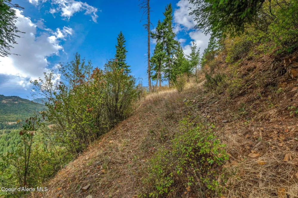 NKA Silver Creek Road Clark Fork, ID 83811