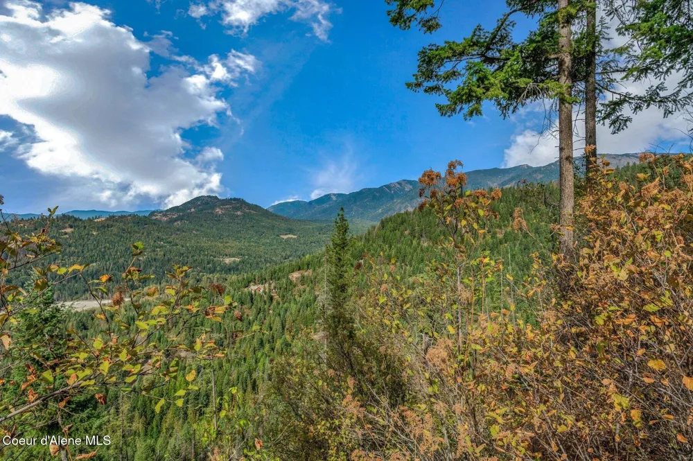 NKA Silver Creek Road Clark Fork, ID 83811