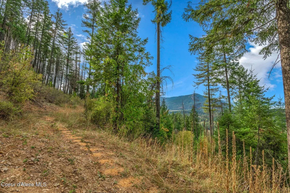 NKA Silver Creek Road Clark Fork, ID 83811