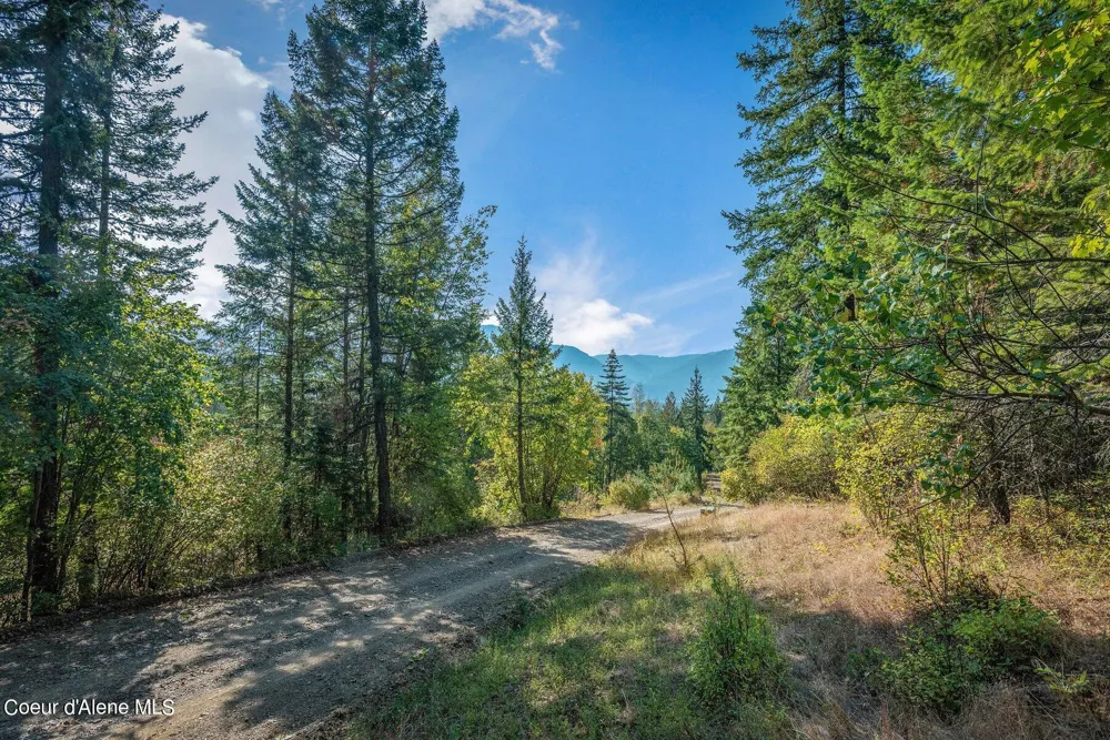 NKA Silver Creek Road Clark Fork, ID 83811