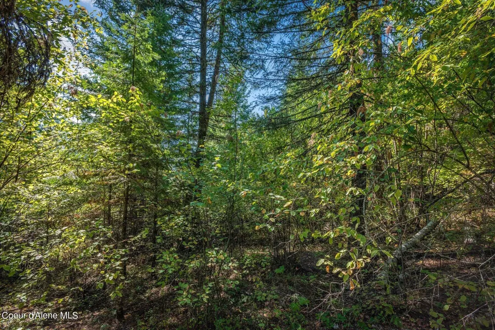 NKA Silver Creek Road Clark Fork, ID 83811