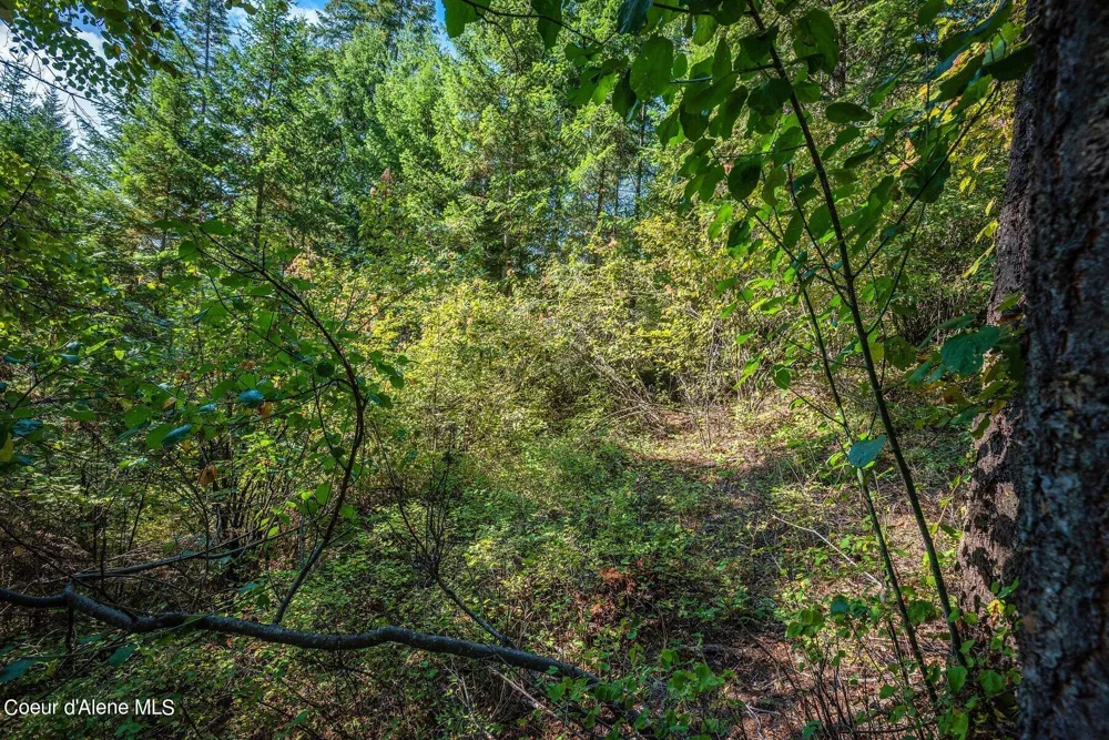 NKA Silver Creek Road Clark Fork, ID 83811