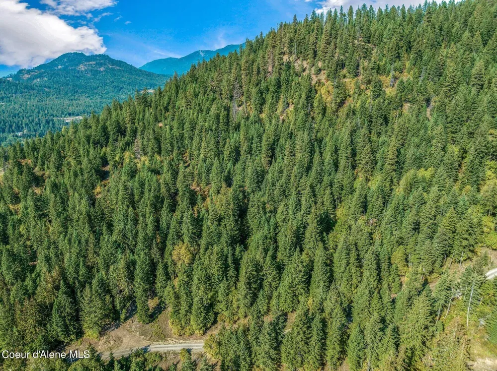 NKA Silver Creek Road Clark Fork, ID 83811